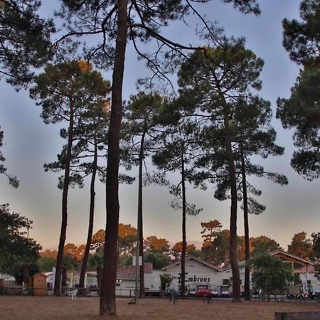 A La Brise Du Ferret Hotel Lege-Cap-Ferret Luaran gambar