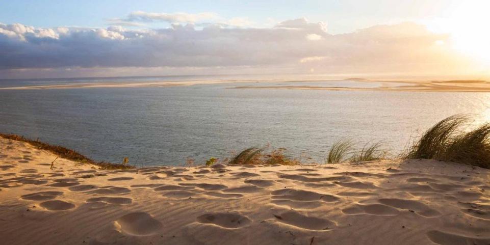 A La Brise Du Ferret Hotel Lege-Cap-Ferret Luaran gambar