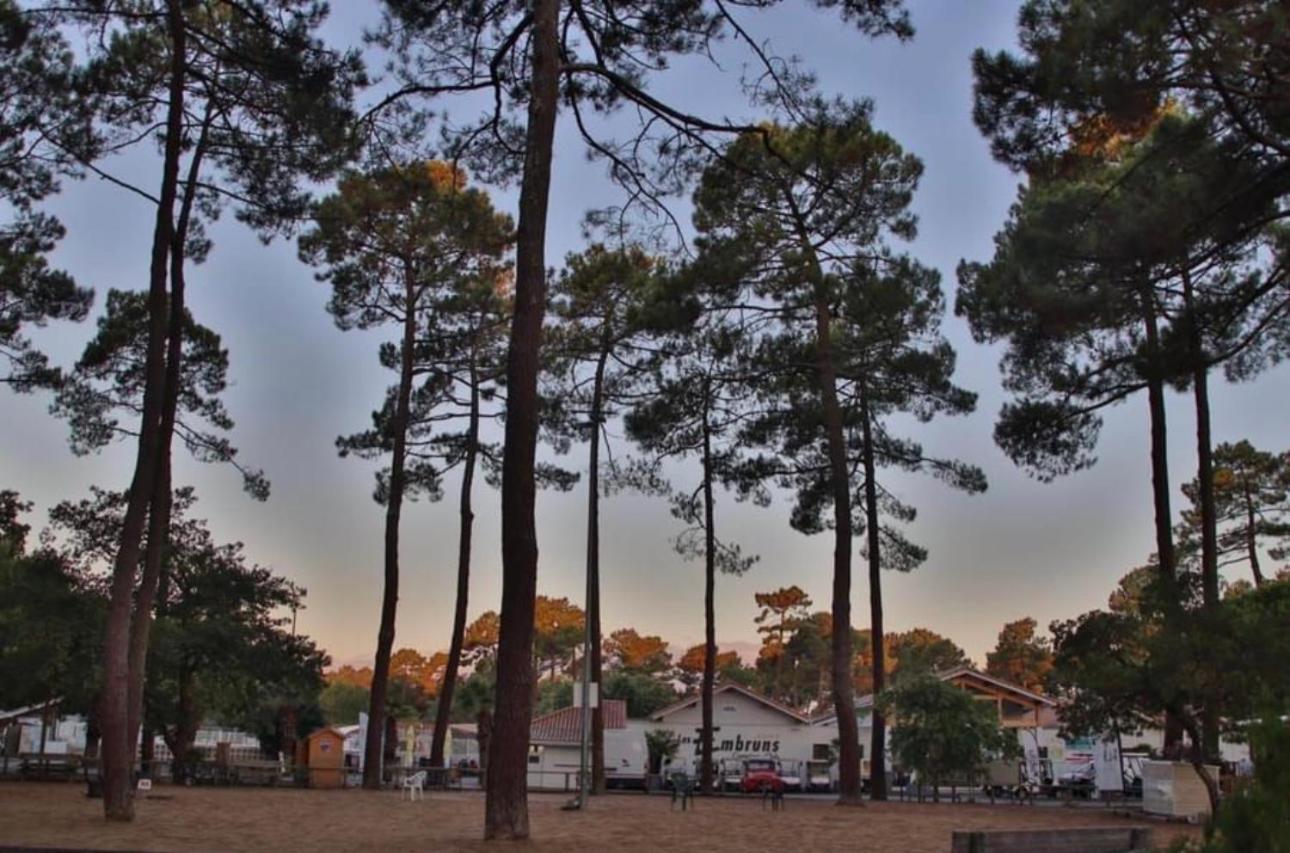 A La Brise Du Ferret Hotel Lege-Cap-Ferret Luaran gambar